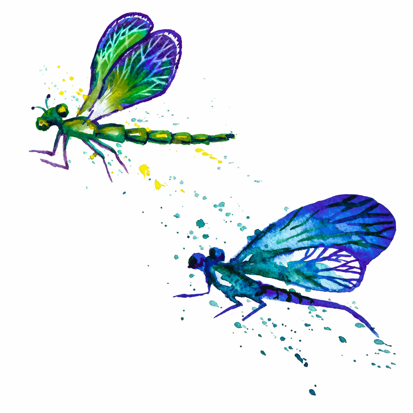 Dragonfly Graphics Screen Printing